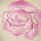 Cupid Pink Embroidered Rose Iron On Flower Patch Pair for DIY Crafts and Decor